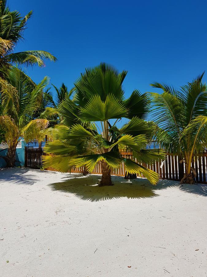 Carolyn'S House Villa Caye Caulker Eksteriør billede